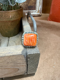 RD401