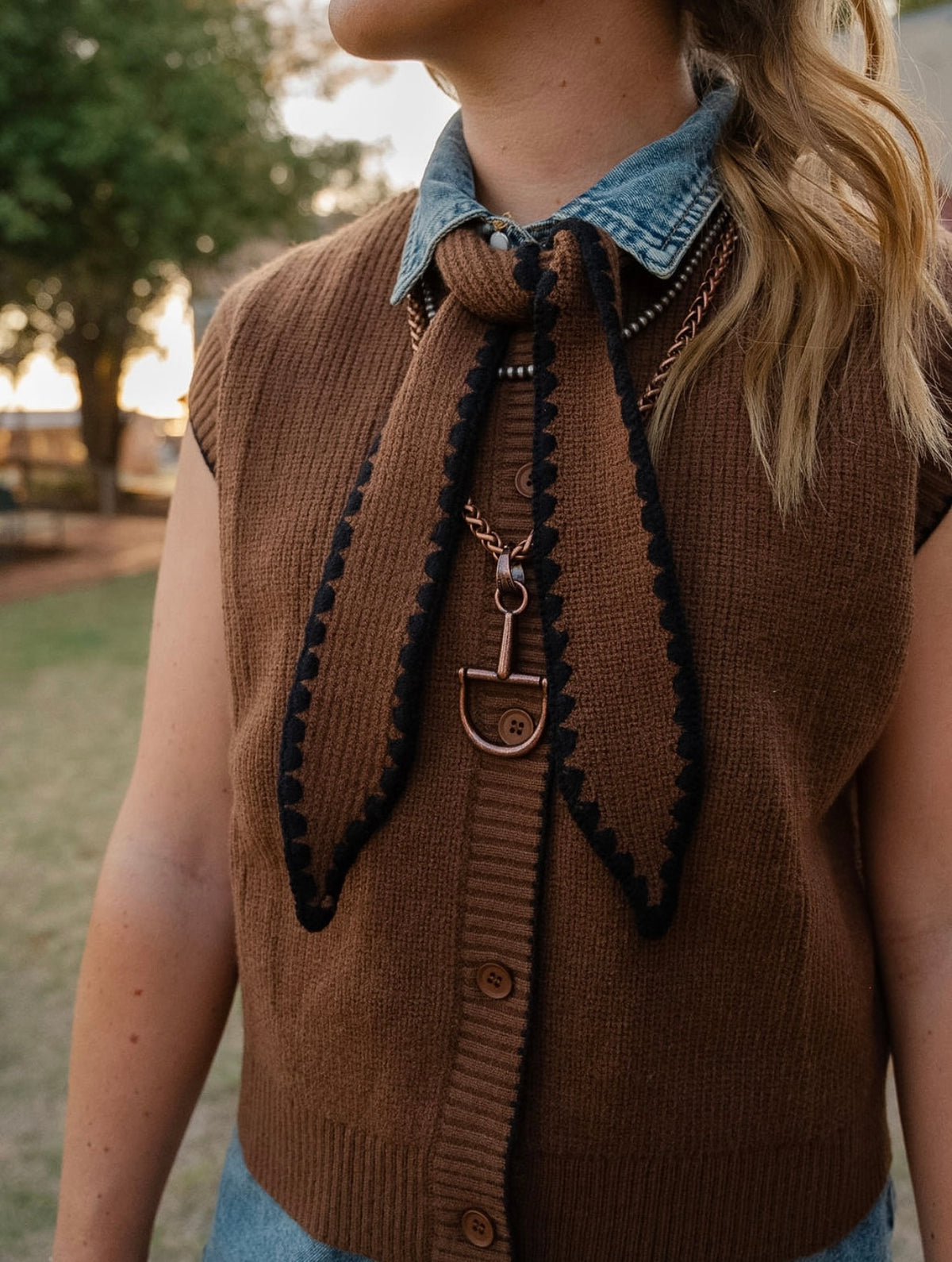 MS Brown Tie Sweater Vest